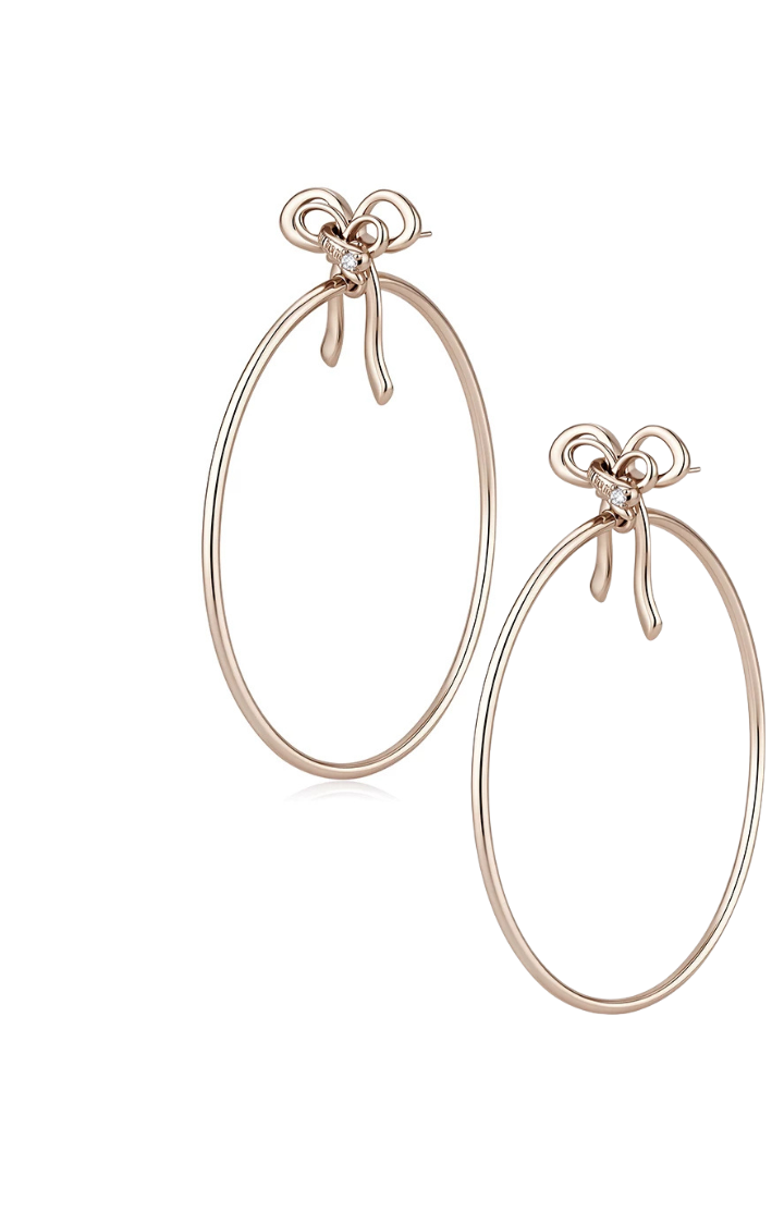 VOWLESS ORBIT HOOP EARRINGS